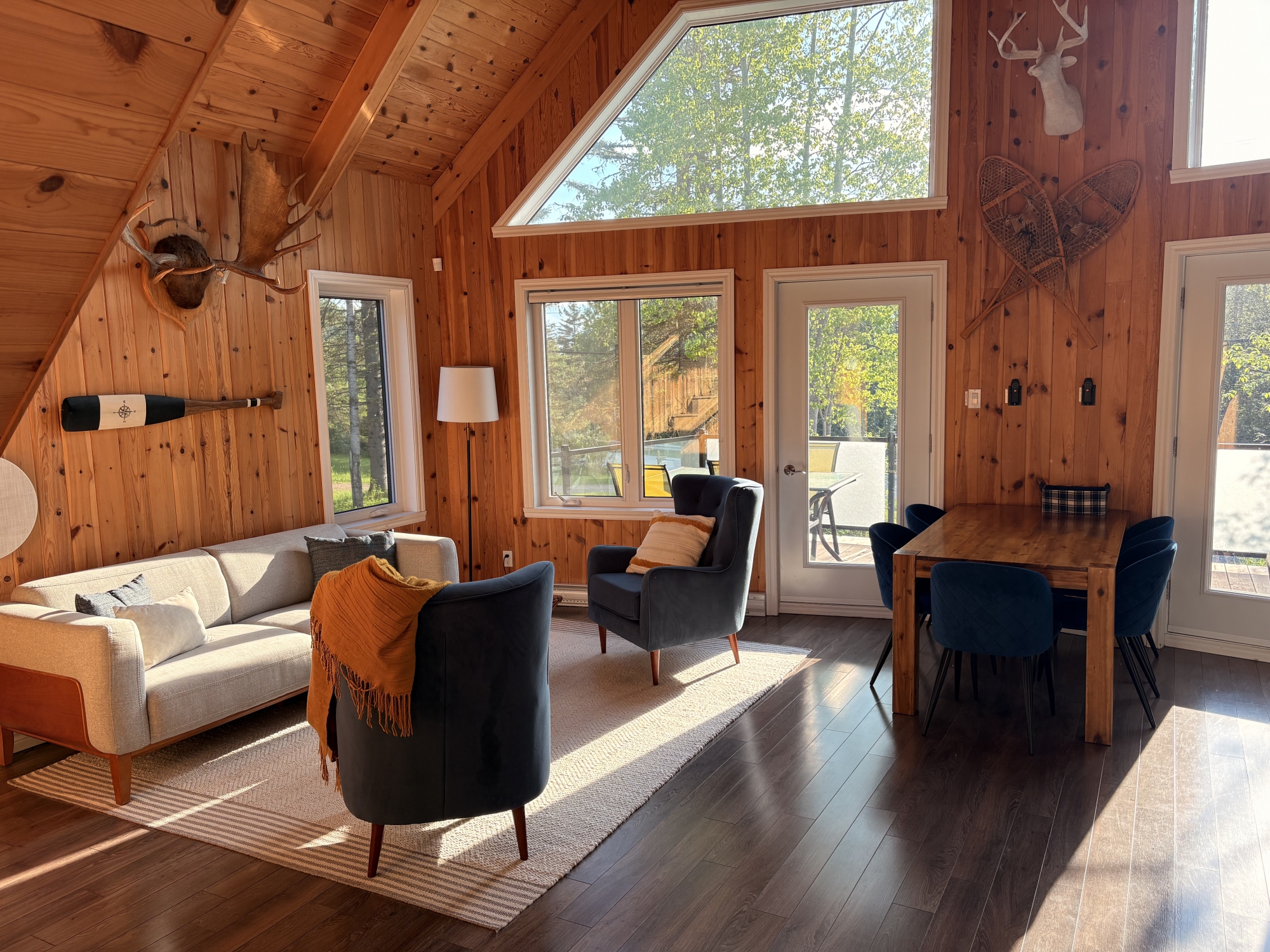 Salon de chalet avec foyer