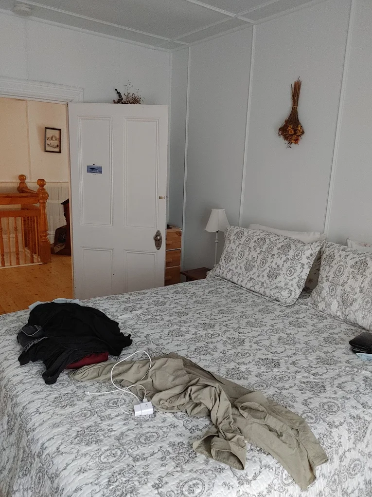 Chalet alpin en vieux bois